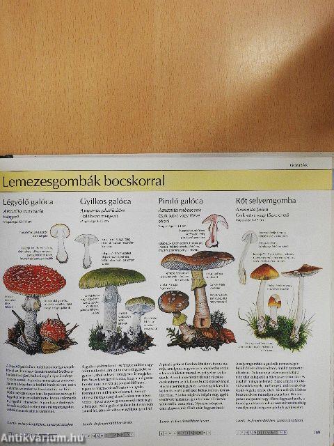 Természetbarátok kézikönyve