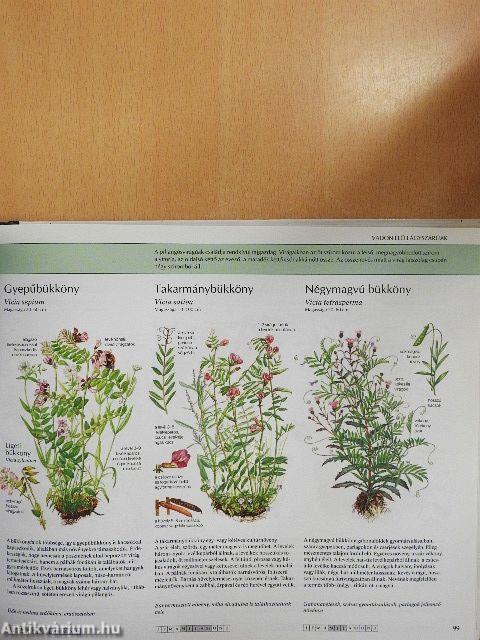 Természetbarátok kézikönyve