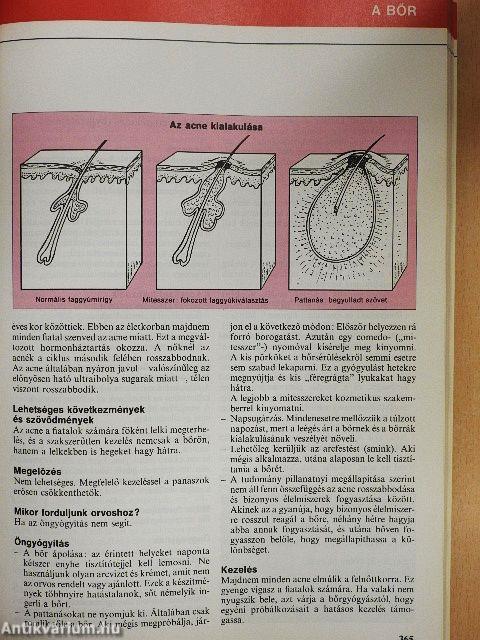 Nagy egészségkönyv