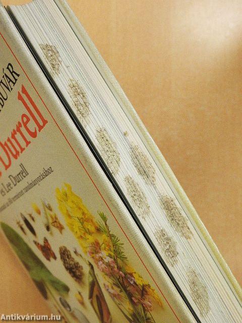 Az amatőr természetbúvár