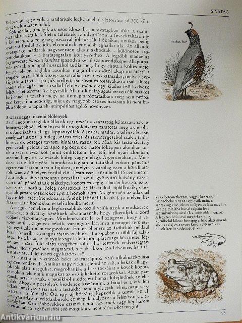 Az amatőr természetbúvár