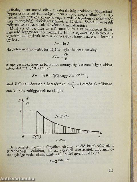 Végtelenség és világegyetem