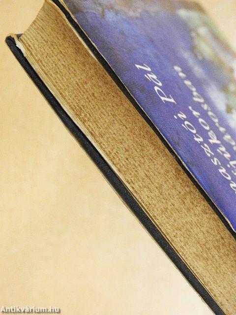 Ifjúkor a Belvárosban