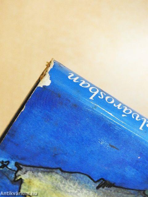 Ifjúkor a Belvárosban