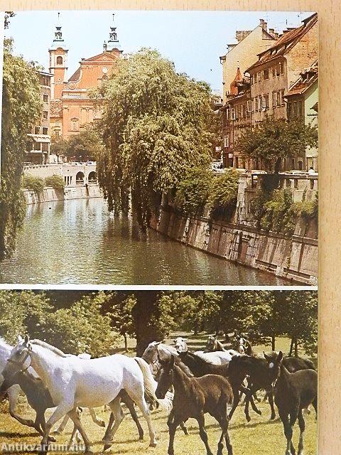 Istrien und Kroatische Küste