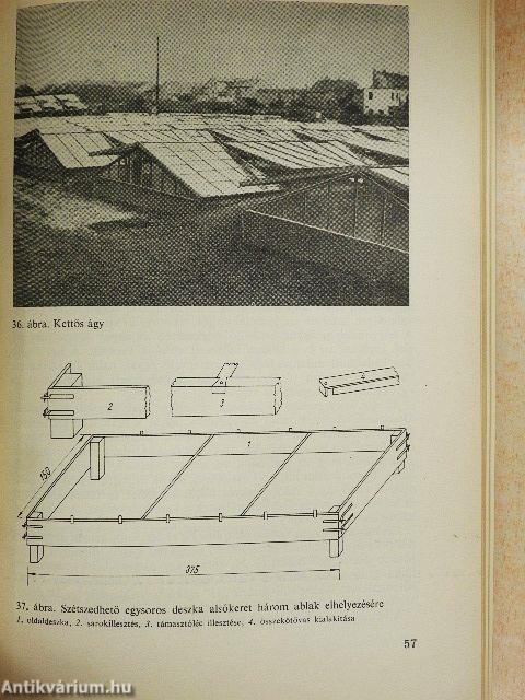 Zöldségpalánták nevelése