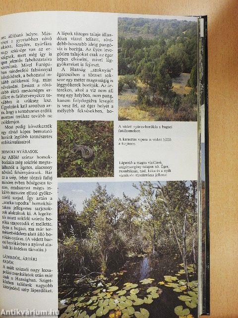 Az erdők nagy képeskönyve