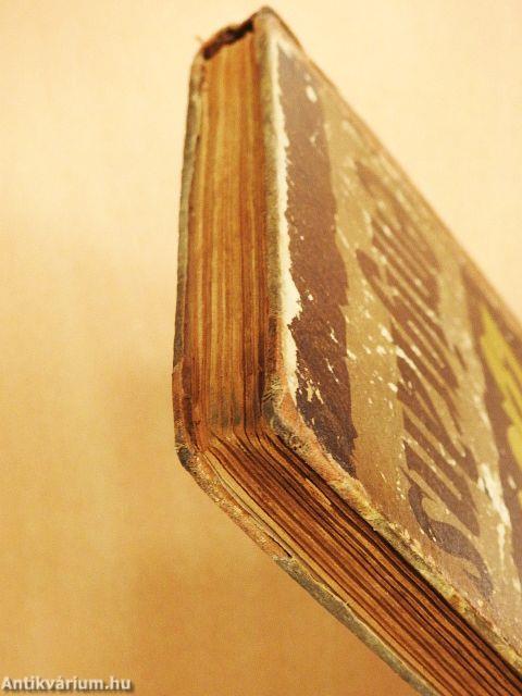 Foglalkozásuk: emigráns