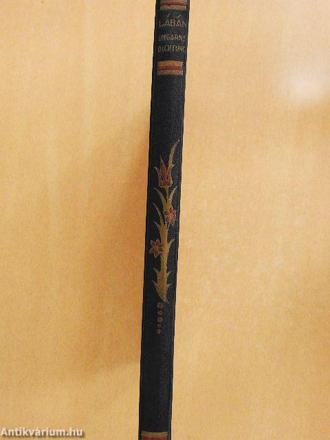 Ungarn in seiner Dichtung