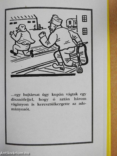 Svejk I-II.