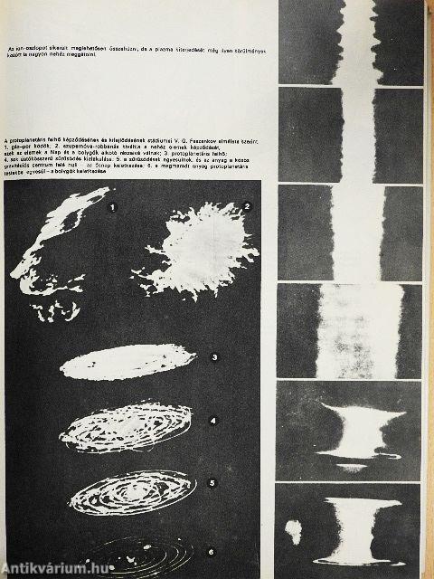A végtelenek keresztútján