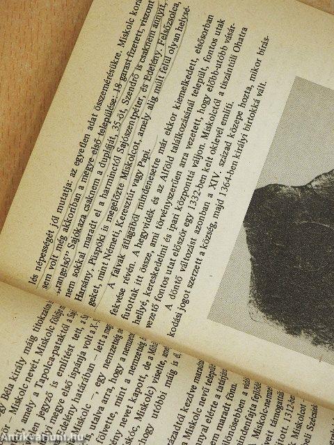 Fejezetek Miskolc történetéből