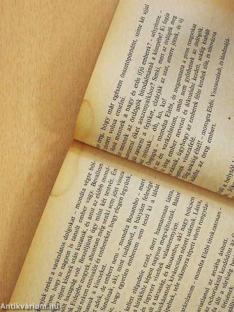 Sanders a folyam ura