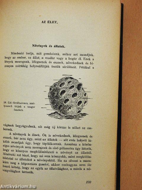 Mi történik körülöttünk