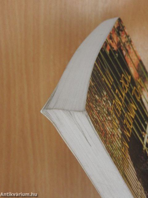 Emléknapok Erdélyben III.