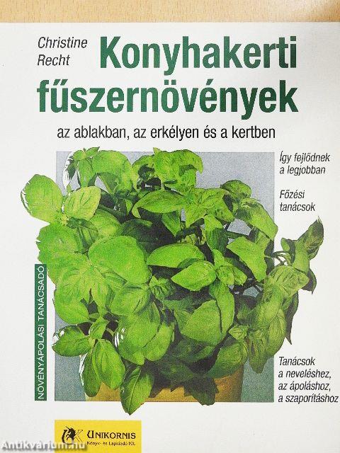 Konyhakerti fűszernövények