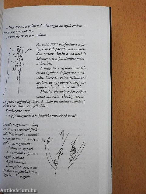 A könyvtolvaj