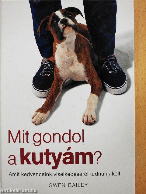 Mit gondol a kutyám?