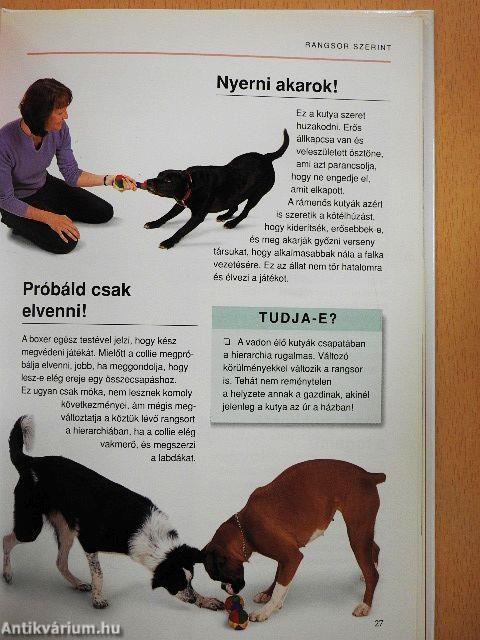 Mit gondol a kutyám?