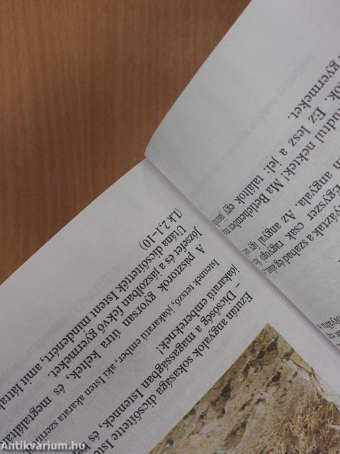 Ilyeneké az Isten országa