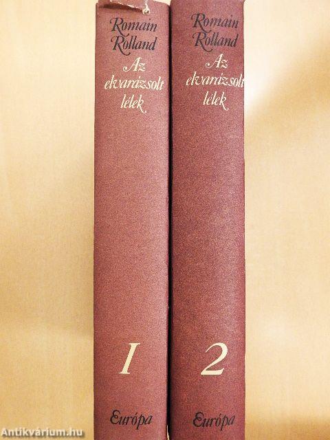 Az elvarázsolt lélek 1-2.