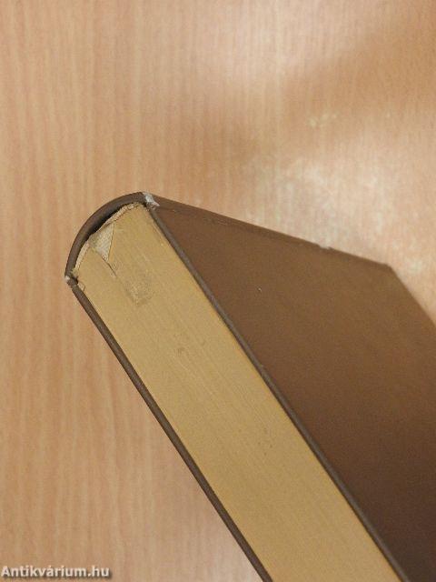 A kalandos Simplicissimus I. (töredék)