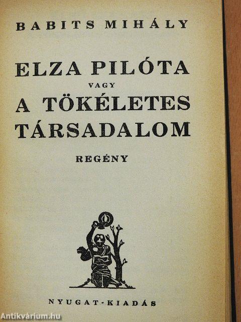 Elza pilóta vagy a tökéletes társadalom