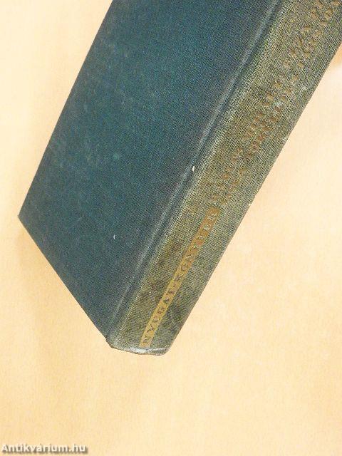 Elza pilóta vagy a tökéletes társadalom