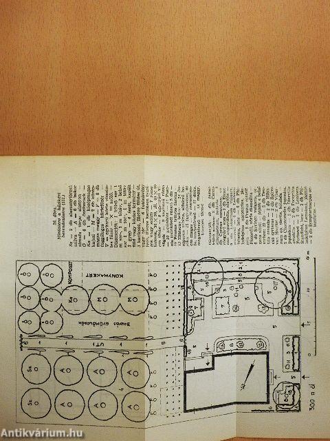 A házikert gyümölcsöse