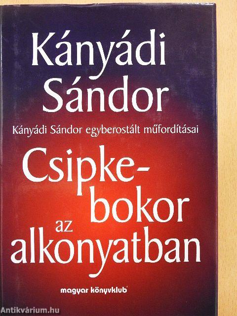 Csipkebokor az alkonyatban