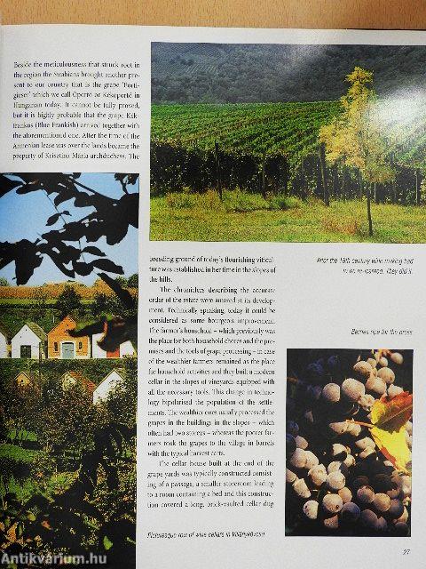 The Wonderful Hungarian Wine