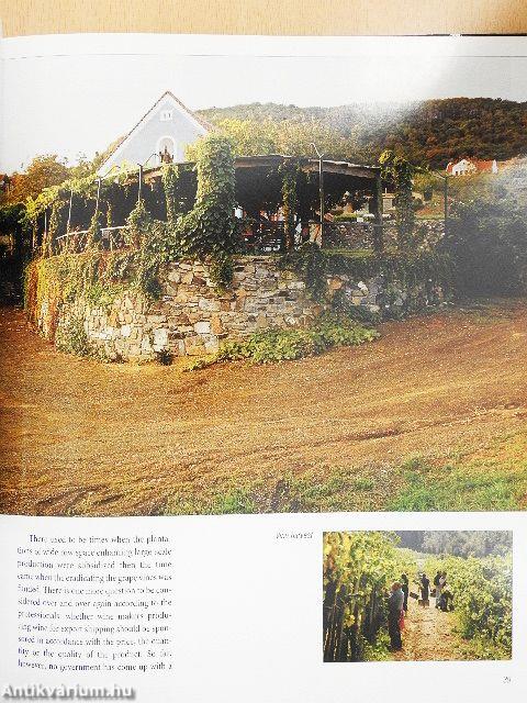 The Wonderful Hungarian Wine