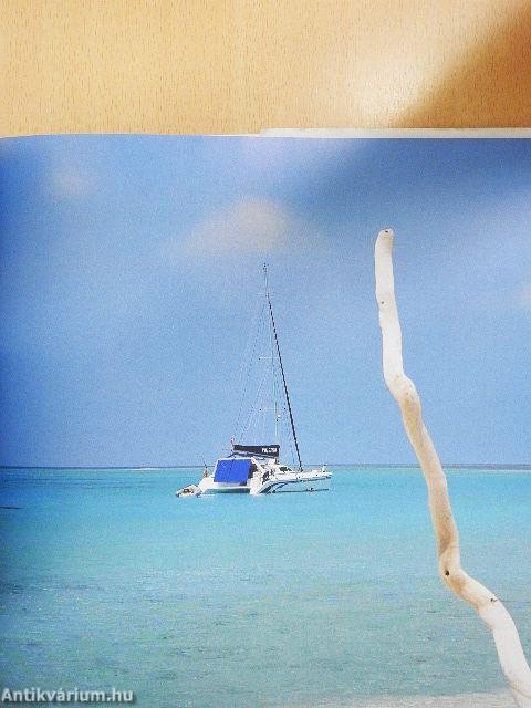 Catamarans un Art de Vivre