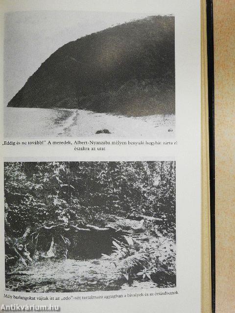 Afrikai vadászkönyv