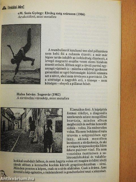 Irodalmi Jelen 2013. február