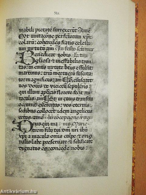 A pannonhalmi Kódex