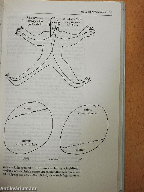 Munkahelyi grafológia