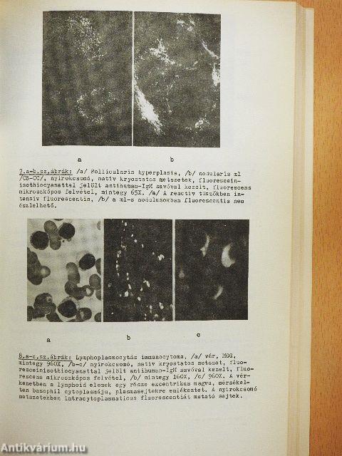 VEAB értesítő 1977. III.