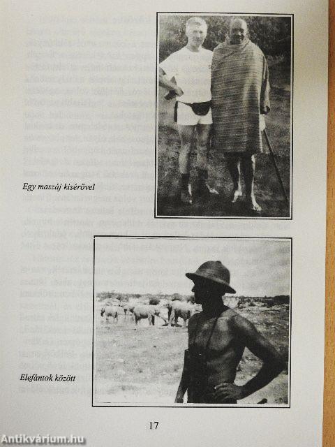 Háros-sziget festője