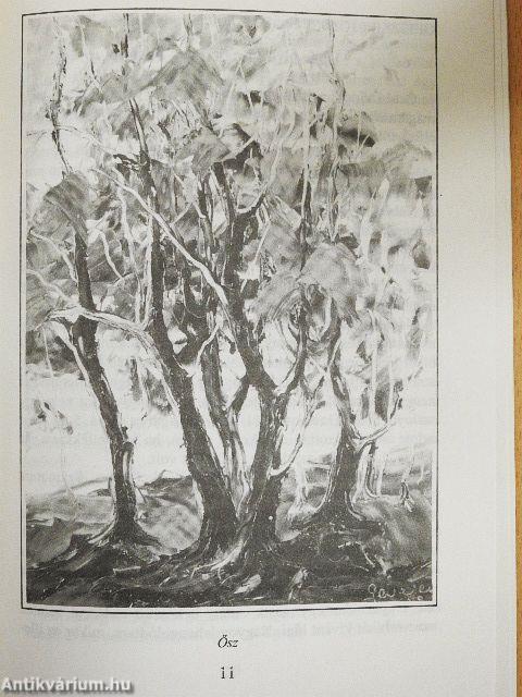 Háros-sziget festője