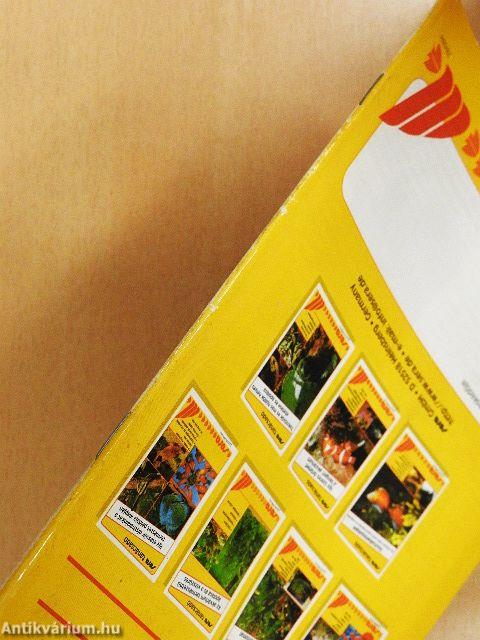 Így ápolom a kerti tavamat