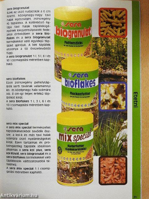 Így ápolom a kerti tavamat