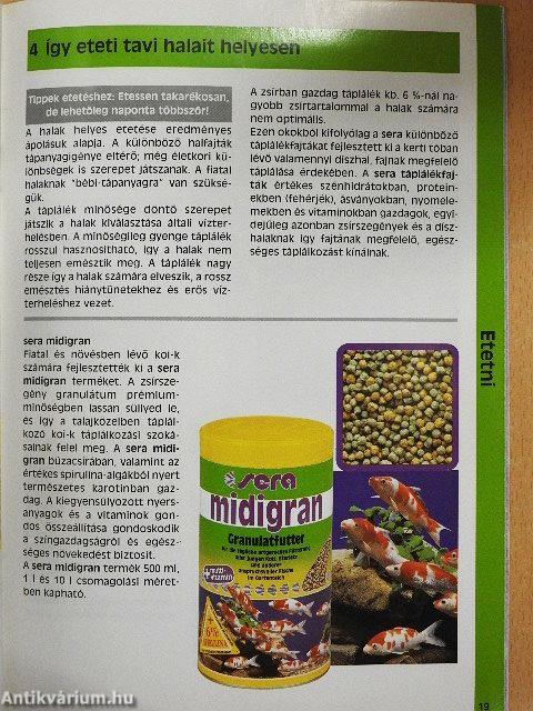 Így ápolom a kerti tavamat