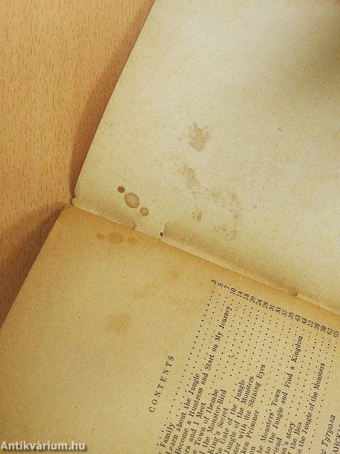 The Brave African Huntress