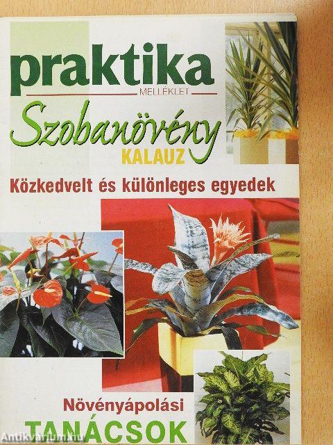 Szobanövény kalauz