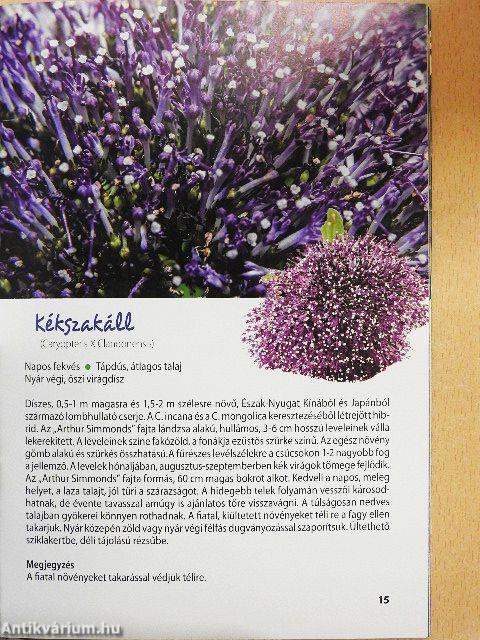 Színes díszcserjék