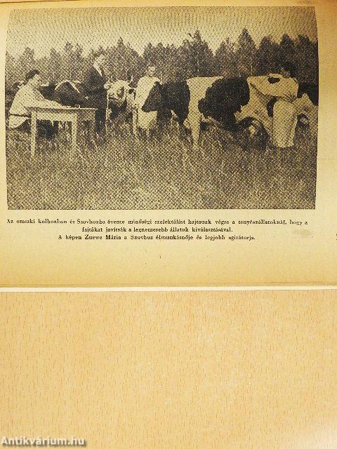 Pártpolitikai munka a szovhozban