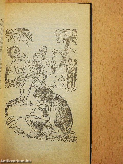 Tarzan a dzsungel ura