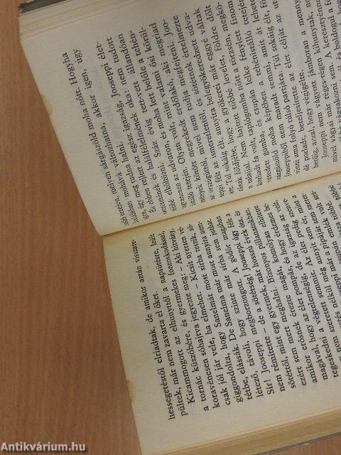 A boldogtalan konzervatív