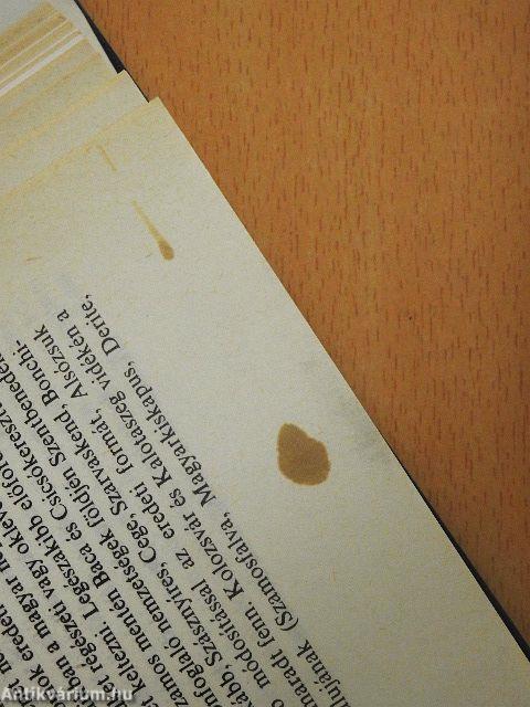 Erdély története I-III.